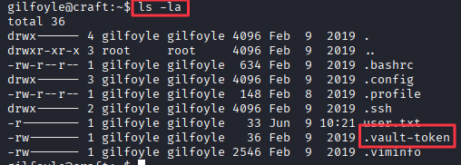 .vault-token file in Gilfoyle's home directory