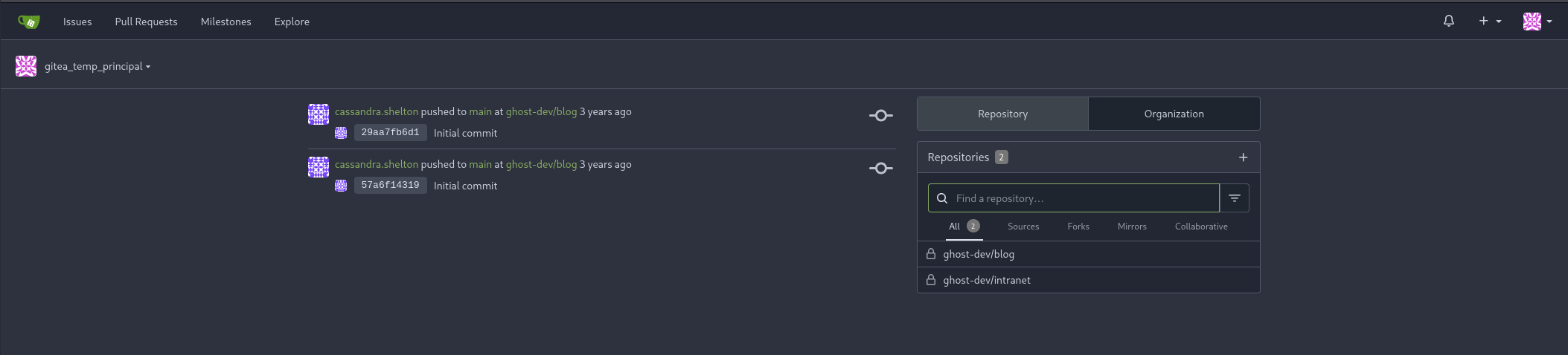 Gitea dashboard after successful login