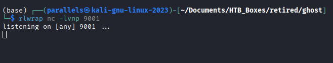 Netcat listener ready on port 9001