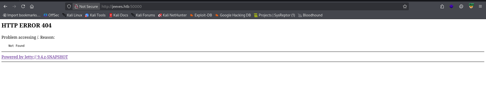 Jetty 404 error page on port 50000