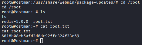 Root flag retrieved from /root/root.txt