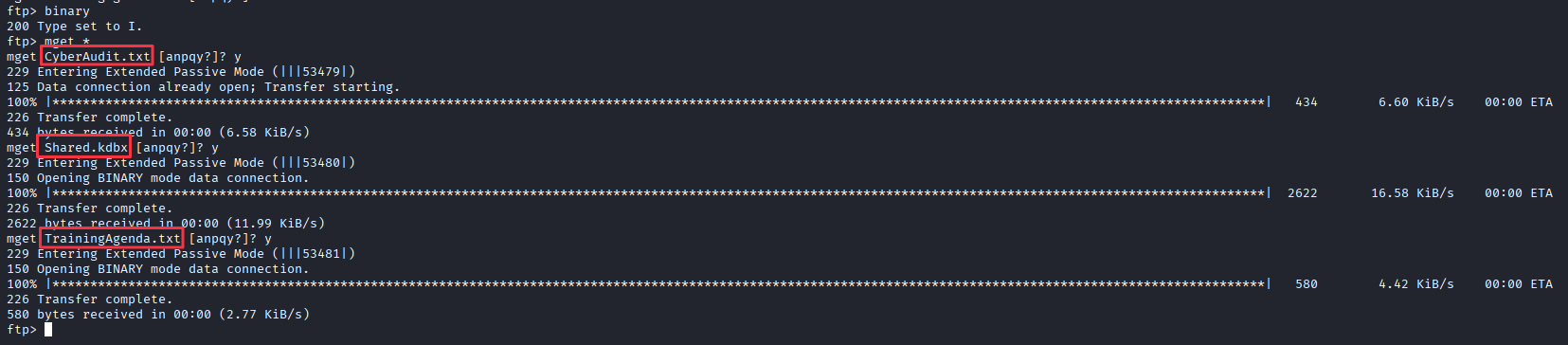 Downloading all files from FTP