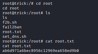 Root flag retrieved from /root/root.txt